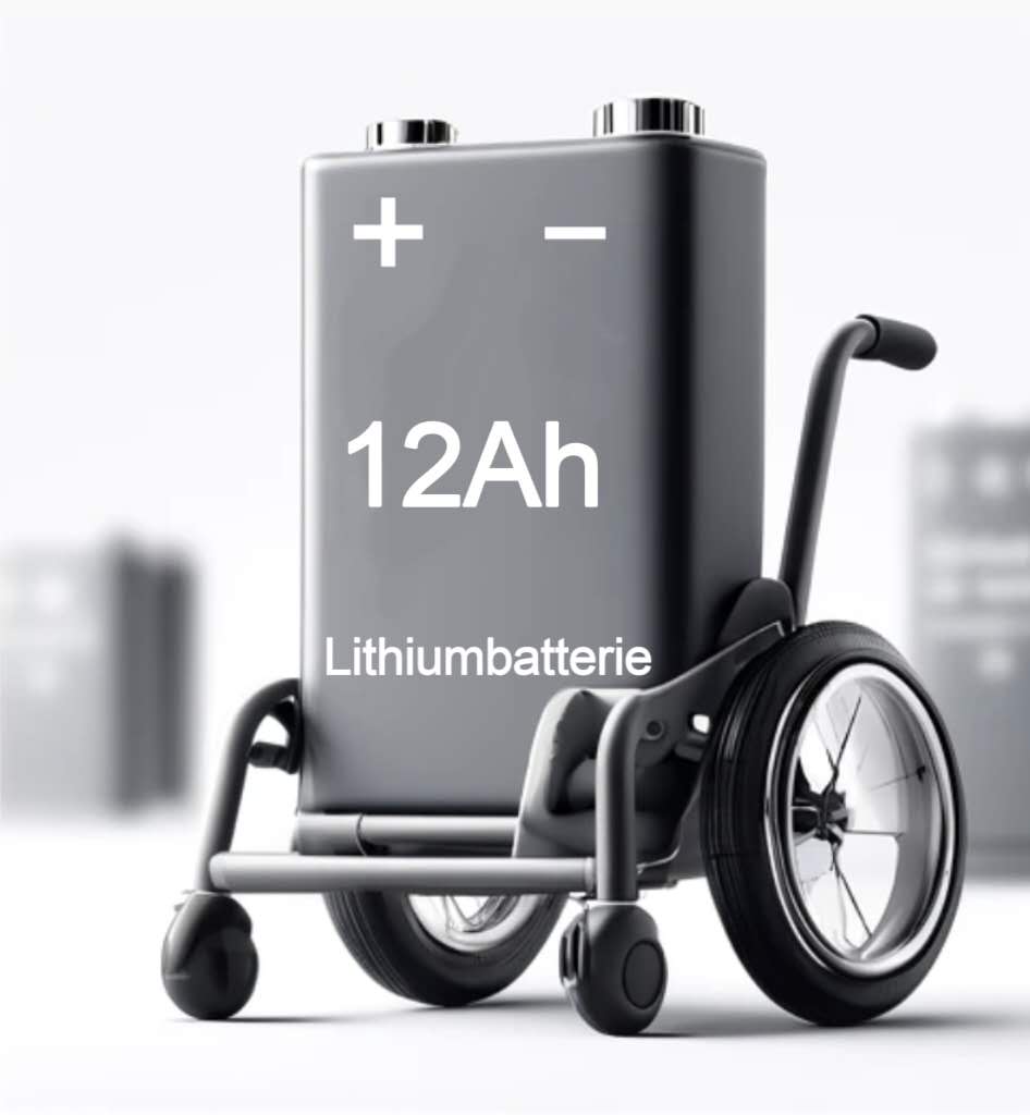 12Ah battery, suitable for the electric models D01 and D06